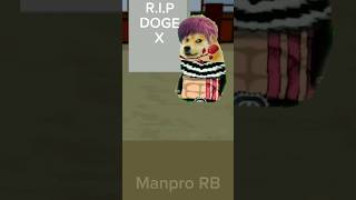 doge meme dog died dogememe bloxfruit bloxfruits manprorb [upl. by Atirys931]