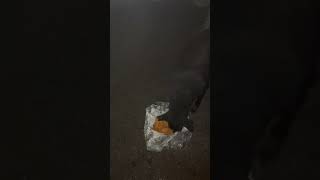 Feeding a Cute Hungry Dog on a Rainy Day shorts doglover instagra puppylovers viral [upl. by Poler841]