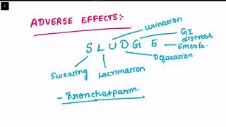 BETHANECHOL USES ADVERSE EFFECTS PHARMACOLOGYMADE EASY [upl. by Ammon]