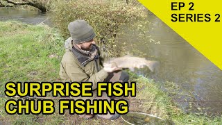 Trotting on the Itchen Chasing Scales Species Hunt EPISODE 22 [upl. by Lasala]