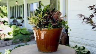 A New Houseplant Arrangement for My InLaws 🌿 Garden Answer [upl. by Cahn]