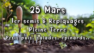 Mars amp Avril Astuces Premier Semis amp plantation direct en terre au jardin potager en Permaculture [upl. by Rockey495]