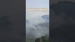 south travel kodaikanal nature bangalore kodaikanaltourism mountains mountains trending [upl. by Fred]