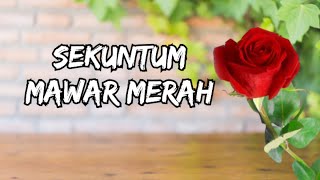 Sekuntum mawar merah [upl. by Eseerehs]