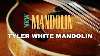 Comparing a Tyler White Mandolin to a Gilchrist and Nugget [upl. by Havard531]