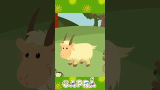 Capra zice Me  Sunete  Animalele de la Ferma  Animatii TV [upl. by Gardell]