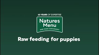 Natures Menu  Raw Feeding For Puppies [upl. by Gothard984]