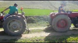 Massey Ferguson 135 vs Universal 445 çekişmesi 3 [upl. by Ardnohsal965]