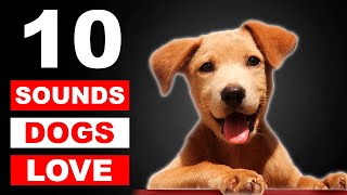 Top 10 Sounds Dogs Love To Hear The Most GUARANTEED [upl. by Ordisy]