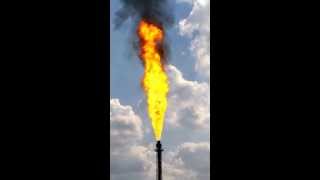 LYONDELLBASELL PETROCHEMICAL PLANT MORRIS IL DIVISION shorts fire naturalgas [upl. by Wadesworth]