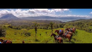 Mistico Park Pacos Horses [upl. by Clementi258]