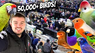 MASSIVE Bird Market in the UK  Newark 2024 [upl. by Nnasor]