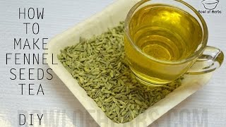 How To Make Fennel Seeds Tea  Tutorial [upl. by Rhodie765]