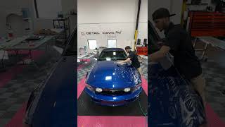 Mustang Bulk hood install [upl. by Gould]