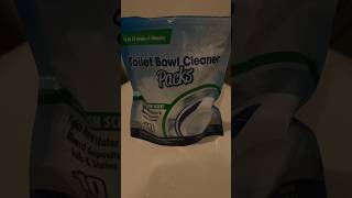 Toilet Bowl Packs review dollartree cleaningsupplies [upl. by Horan]