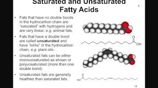 Structure and Function of Lipids [upl. by Aleciram]