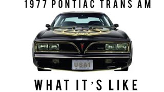 1977 Pontiac trans am RPO Y82 AKA Bandit review [upl. by Marillin416]