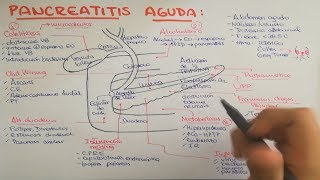 Pancreatitis causas fisiopatología clínica diagnóstico y tratamiento [upl. by Bunting287]