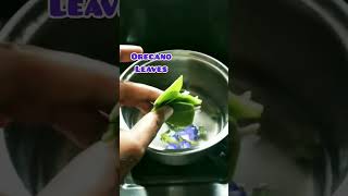 अपराजिता की चायButterfly pea flower tea shorts अपराजिता tea [upl. by Bronk]