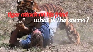 lion attack on his friend wild animals what is the secret lion animals tiger [upl. by Alrahs384]