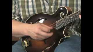 Collings MF5 Mandolin  Jesse Cobb  quotBilly in the Low Groundquot [upl. by Alvy]