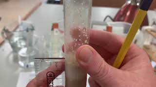 Yeast fermentation Experiment 1 Temperature [upl. by Ase]