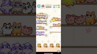 Color Cat Sort Cute Cat Game Level 52 shorts shortsfeed cat gaming [upl. by Atnovart327]