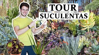 Tour por las plantas suculentas  2024 [upl. by Tesler]