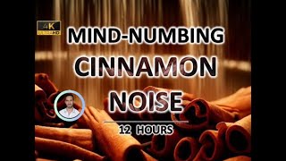 Mindnumbing Cinnamon Noise 12 Hours BLACK SCREEN  Study Sleep Tinnitus Relief and Focus [upl. by Torhert]