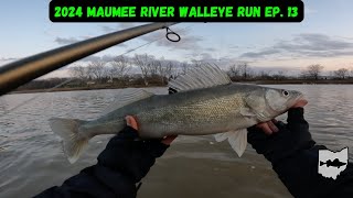 Maumee River Walleye Run 2024 Ep 13  Low Water Walleye Fishing [upl. by Englebert]