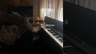 Cicatrices  Airbag Piano Cover [upl. by Anerec33]