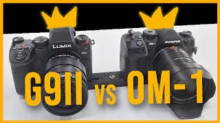 Lumix G9II vs OM System OM1  Video IBIS amp AF test [upl. by Notnef278]