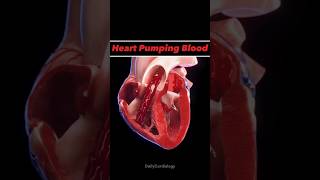 HEART PUMPING BLOOD  heart anatomy animation bloodcirculation cardiology shorts [upl. by Peck]