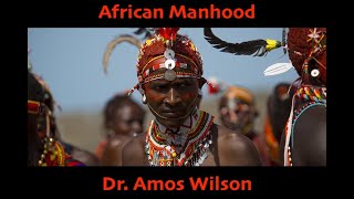 African Manhood Dr Amos Wilson  Goodie Mob Visualizer [upl. by Einram]