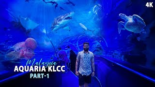 Exploring Aquaria KLCC Part  1  Things to Do in Kuala Lumpur  EP 10 [upl. by Notnroht]