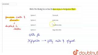 Which of the following does not have the lipase enzyme forthe digestion of lipids  12  NTA NEE [upl. by Izmar258]