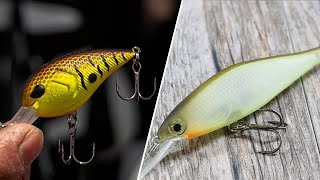 Crankbait vs Jerkbait Differences and Comparison [upl. by Eilsehc]