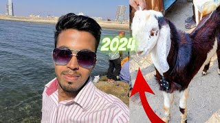 Lalukhet Bakra Mandi Latest Rates Update 10November2024  Sunday Bakra Mandi in Karachi 2024viral [upl. by Kappenne886]