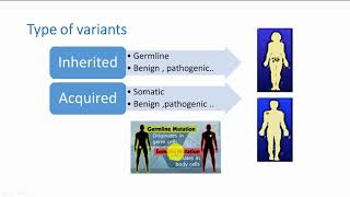 62 Mutation and variants part TWO Types and classifications [upl. by Ecnerret583]