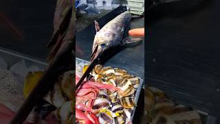 Cleaning a Huge Swordfish 🪚  Dissecting the Mighty Sea Predator Big Sawshark bigfish shorts [upl. by Almena]