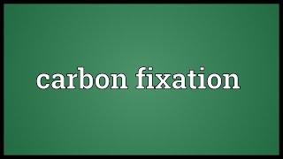 Carbon fixation Meaning [upl. by Heiskell]