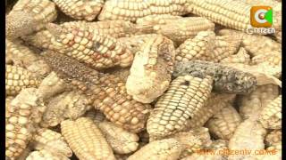 One Dies due to Aflatoxin Poisoning in Makindu [upl. by Ade]