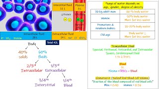 Intracellular fluid  Extra cellular fluid Chapter 25 part 1 Guyton and Hall Physiology [upl. by Adnanref524]