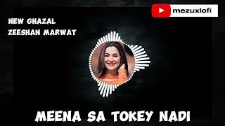 Meena sa tokey nadi  zeeshan marwat  new ghazal  Slowed Reverb  mezuxlofi viralvideo [upl. by Aryahay]