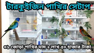 টারকিউজিন পাখি পালন পদ্ধতি ও দাম। টারকিউজিন পাখির খামার । [upl. by Adnauqal]