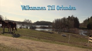 Välkommen till Orlunden [upl. by Acirt]