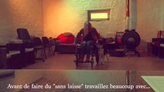 Apprentissage marche au pied personne en chaise Audrey Vander Perre [upl. by Waverley]