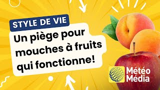 Un piège pour mouches à fruits qui fonctionne  Trucs et astuces [upl. by Dallon359]