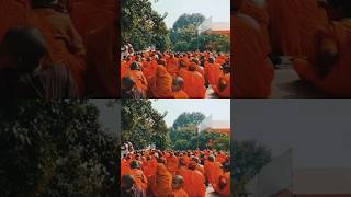 buddhanature buddhism bussimulatorindonesia youtubeshorts nmobuddhay musicgenre motivation [upl. by Loferski]