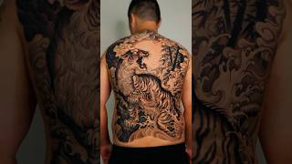 Intense tiger back piece tattoo by jinqchoi at seoulinktattoo [upl. by Esele]